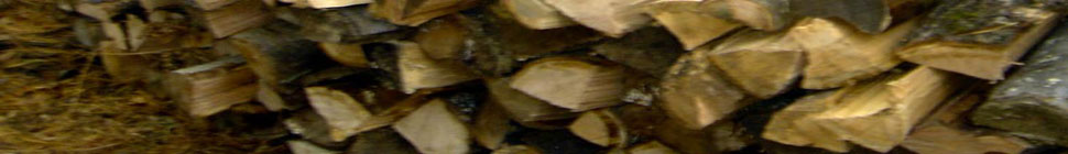 Betsy Devine: Funny ha-ha and/or funny peculiar header image 2